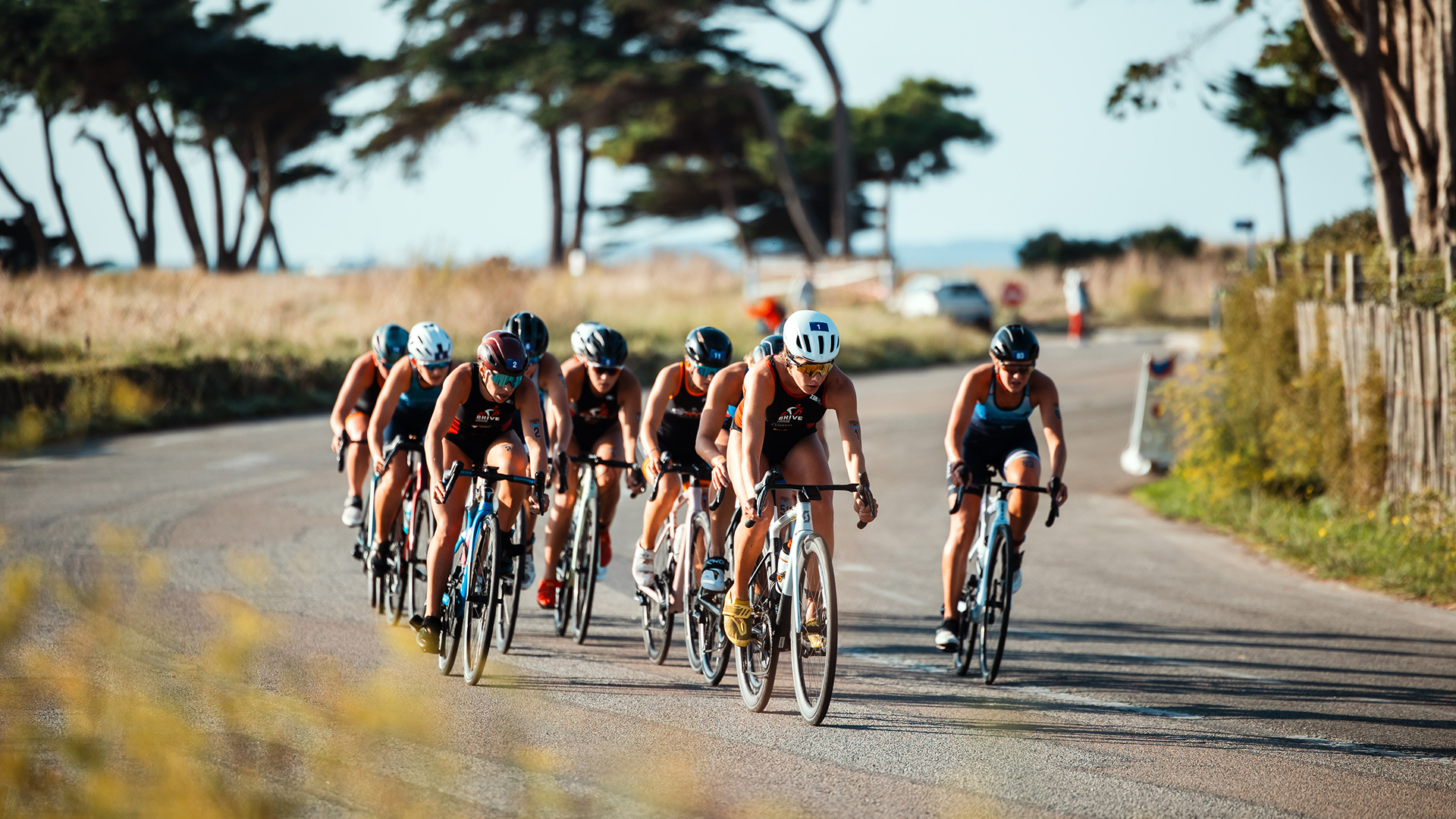 Demandez le programme !